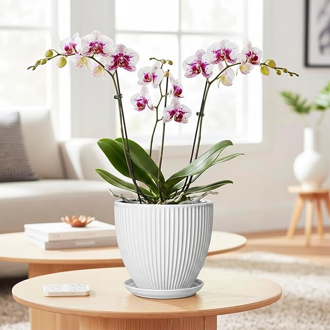 Ceramic Pots for Plants, 6 Inch Plant Pot with Drainage Hole and Saucer, Round Ceramic Flower Pots for Indoor Plants, Modern Small Succulent Planter, Room Home Decor, Plant Lover Gifts, White