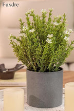 2 Pack Small Desk Plants, Artificial Bathroom Plants Decor with Thyme Flower in Vintage Melamine Pots, Faux Plants Indoor for Shelf Decor in Home Office, and Spring Decor (Ivory)