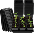 NNG 3.5 inch 50 Pcs Black Square Nursery Pots with 5 Pcs Plastic Seed Starting Trays,Plant Propagation Starter Kit Square Seed Starting Pots with Drain Holes