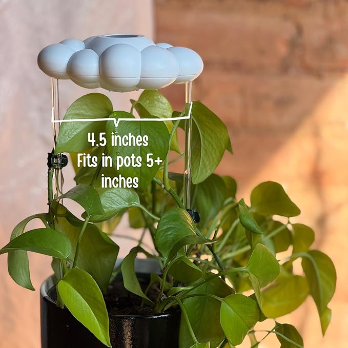 Original Dripping Rain Cloud with Pastel Rainbow Charm