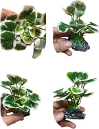 JGbaby Artificial Aquarium Plants,Fish Tank Decorations Betta Leaf Hammock 4in Realistic Silk & Plastic Plants, Hideout Decor for Betta. Goldfish,Reptiles,Small Tanks (Green Type-E)