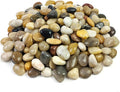 YISZM Pebbles for Indoor Plants, Natural Polished River Rocks, Small Decorative Mixed Color Stones for Planters Vase Fish Tank Aquariums Landscaping Garden, 5lbs