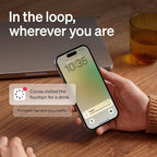 PETLIBRO AI Pet Camera Indoor with Phone App, 360° Auto Tracking Dog Camera for Home Alone Pets, Multi-Pet Recognition, Smart Summaries, AI Activity Detection, 2-Way Audio, Color Night Vision