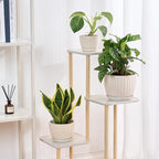 STHIE 4/5/6 Inches Ceramic Plant Pots with Drainage Holes and Saucers, Round Flower Pots for Indoor Plant, Modern Flower Planters Set of 3 (White-Big Size)