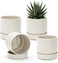 Phoenix Vine 4 Inch Planter Pot with Drainage Hole & Saucer, Deep Water Catch Tray, Straight Cylindrical Round Pot for Plants, Oatmeal, Pack of 4, 23-E-R-4