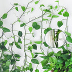 Plant Climbing Wall Fixture Clips,100Pcs Plant Fixer Self-Adhesive Hook,Garden Vegetable Plant Support Binding Clip Invisible Wall Vines,Fixture Wall Sticky Hook Fixing Clip Vines Holder (B-100 Pcs)