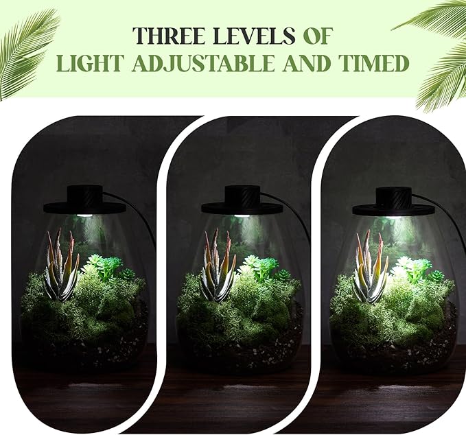 Maxdot Glass Plant Terrarium Kit with Light for Succulent, Moss, Miniature Gardening Landscape, Betta Fish Tank, Office Home Decoration, Plant Lovers Gifts (6.9 x 7.8 Inch)