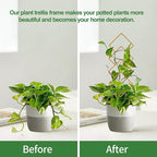 Indoor Plant Trellis for Potted Plants, 16inch Gold Small Trellis for Climbing Plants Outdoor Garden Metal Trellis with Different Patterns for Vine Ivy Flower Plant Support 4 Pack