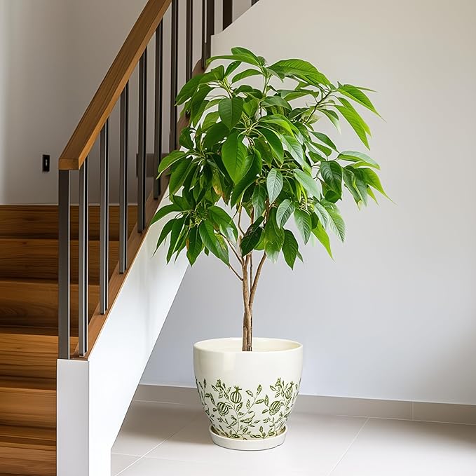 MPotTo 10 Inch Plant Pot - Ceramic Planter with Drainage Hole and Saucer, Boho Round Decorative Flower Pot for Indoor Plants, Housewarming Gifts, Office Garden Home Outdoor Decor, White