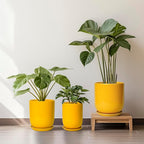 Plant Pot 8 Inch - Ceramic Plant Pot with Drainage Hole and Saucer Large Planter for Indoor Plants Outdoor Modern Flower Pot for Home Garden Decor Yellow