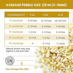 1/8 Inch Aquarium Gravel, Cream Beige Small Pebbles for Fish Tank, Succulents, Indoor Plants, Terrarium, Vase Filler, Natural Mini River Rocks for Drainage and Top Dressing, 12LB