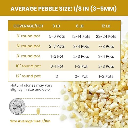 1/8 Inch Aquarium Gravel, Cream Beige Small Pebbles for Fish Tank, Succulents, Indoor Plants, Terrarium, Vase Filler, Natural Mini River Rocks for Drainage and Top Dressing, 3LB