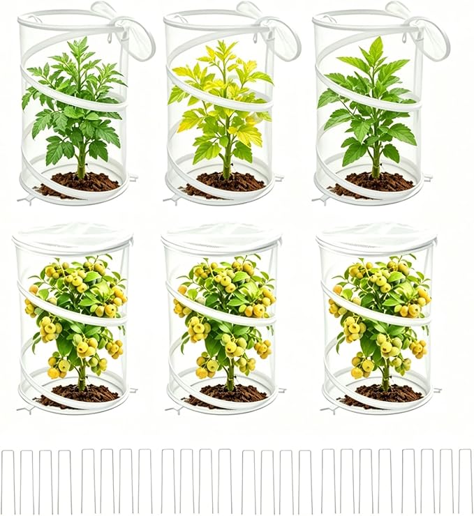 6-Pack Pop Up Plant Covers, Heavy Duty 18"x24" Mesh Plant Cover & Garden Cloche with Ground Stakes, Windproof Plant Protector Tent for Tomato & Strawberry (Protection from Birds & Animals)