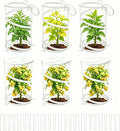 6-Pack Pop Up Plant Covers, Heavy Duty 18"x24" Mesh Plant Cover & Garden Cloche with Ground Stakes, Windproof Plant Protector Tent for Tomato & Strawberry (Protection from Birds & Animals)