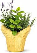 Live Aromatic and Healthy Herb Combo in Deco Cover - Sleep Aid, Combo Includes Lavender, Rosemary, and Lemon Balm, 12" Tall by 6" Wide in 1.25 Quart Pot
