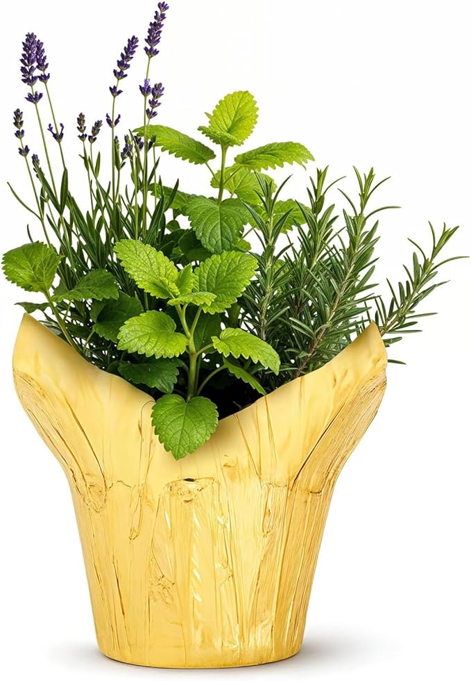 Live Aromatic and Healthy Herb Combo in Deco Cover - Sleep Aid, Combo Includes Lavender, Rosemary, and Lemon Balm, 12" Tall by 6" Wide in 1.25 Quart Pot