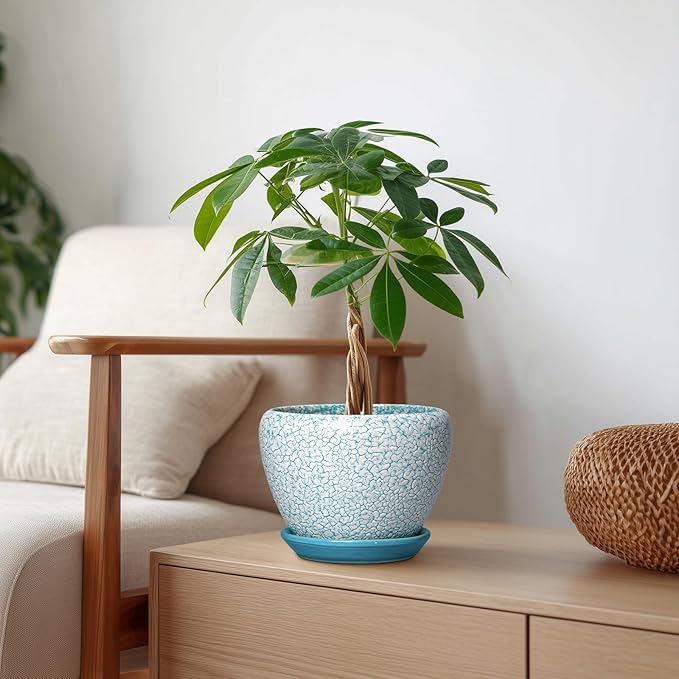 Ceramic Plant Pot - 6 Inch Indoor Planters for Succulent Plants, Round Decorative Flower Pot with Drainage Hole and Saucer, Small Plant Pots, Room Decor, Gifts for Gardeners, Crackle Blue