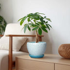 Ceramic Plant Pot - 6 Inch Indoor Planters for Succulent Plants, Round Decorative Flower Pot with Drainage Hole and Saucer, Small Plant Pots, Room Decor, Gifts for Gardeners, Crackle Blue
