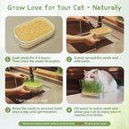Hydroponic Cat Grass Grow Kit with 5Pack Non GMO Seeds, Organic Grass Growing Kit, Cat Grass for Indoor Cats, Soil-Free Planter, Perfect for Beginners, Ideal Birthday Gift for Cat Lovers