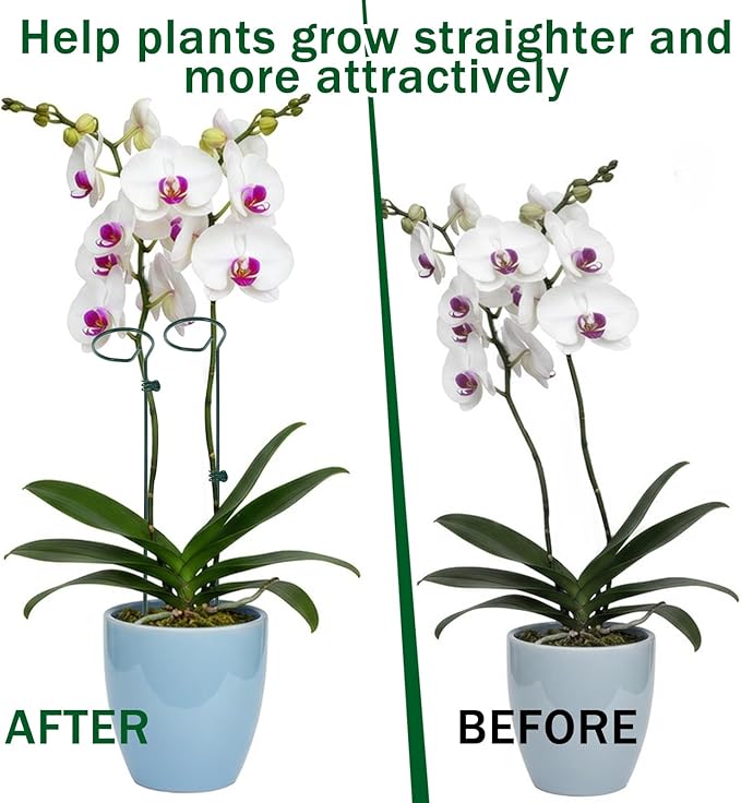 8 Sets Metal Plant Sticks Support Tall 48 Inch Adjustable Plant Support Stakes Amaryllis Holder Stakes Support Indoor Outdoor with 30 Clips 16.5' Ties for Orchid Tomato Lily Flower