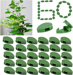 60 Pcs Plant Climbing Wall Fixture Clips Acrylic Self-Adhesive Sticker Fixer Vine Traction Invisible Holder Climbing Plant Green Leaf Vines Hook Fixing Clip Indoor Outdoor Decoration