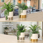 Hollyone Large Artificial Succulents Plants Faux Succulents 12" Fake Succulent Plants in Gold Ceramic Pot Succulent Plant for Desk Modern Home Living Room Office Table Bathroom Decor