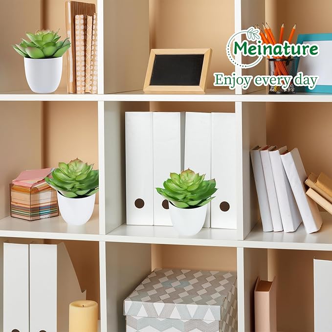 Lifelike Artificial Succulent Plants in White Large Basin - 5.5 Inch Diameter Large Flowers, Green & White, Ideal for Home and Office Table Decoration