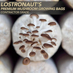 LOSTRONAUT 60-Pack Mushroom Grow Bags - Extra Strong, Large Autoclave Bags with 2 Micron Fiber for Spawn, CO2 Control, Cultivation Kit & Gardening Supplies - Mushroom Growing Kit