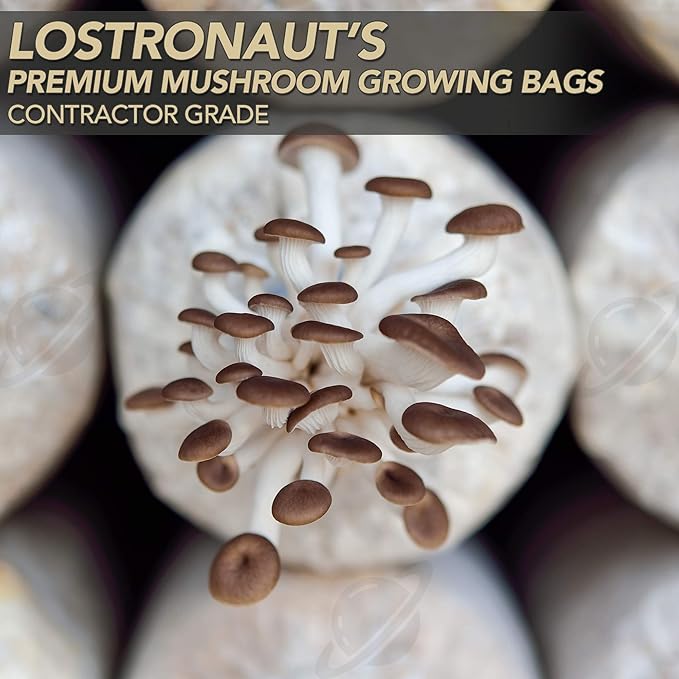 LOSTRONAUT 60-Pack Mushroom Grow Bags - Extra Strong, Large Autoclave Bags with 2 Micron Fiber for Spawn, CO2 Control, Cultivation Kit & Gardening Supplies - Mushroom Growing Kit