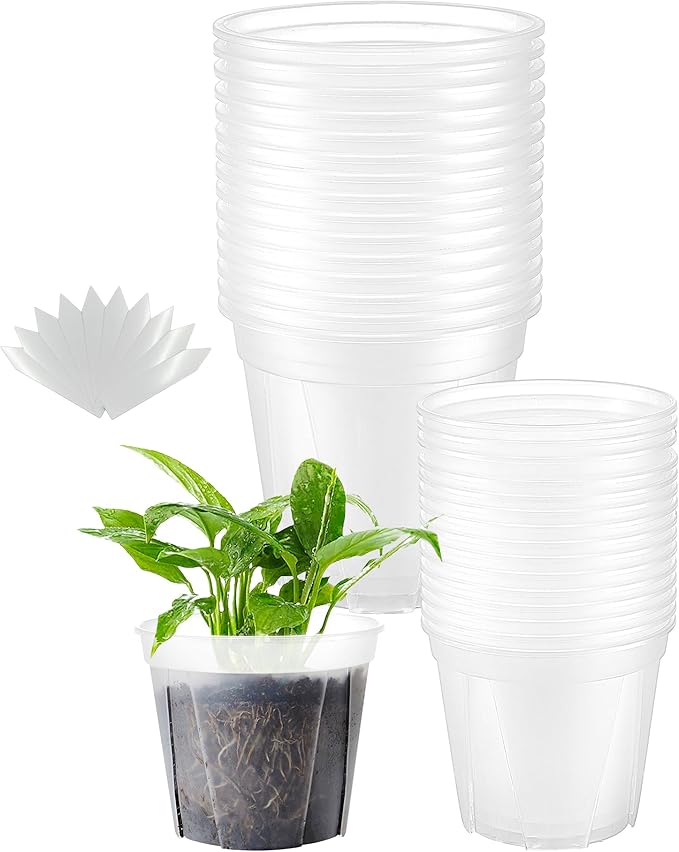 30 pcs 6/5 inch Clear Nursery pots for Plants with Saucers,5/6 inch Clear Heavy pots with Side Vents for Reporting Orchids,Aroid,Monstera, Indoor & Outdoor use