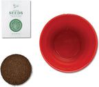 BUZZY Seeds All-in-One Spruce Tree Grow Kit Holiday Pail with Non-GMO Seeds, Growing Medium, Red Pail and Easy Instructions | Fun Indoor Gardening Project, Great Gift for Gardeners, Stockiing Stuffer