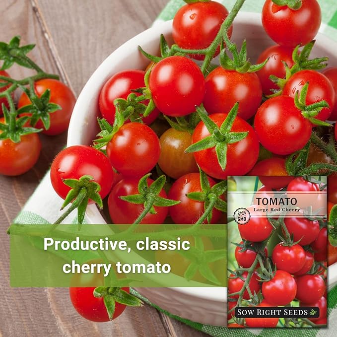 Sow Right Seeds - Large Red Cherry Tomato Seeds for Planting - Non-GMO Heirloom Packet with Instructions to Plant a Home Vegetable Garden - Tasty Snacking Variety, Start Indoors - Indeterminate (4)