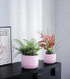 Ton Sin Pink Flower Pots,Ceramic Planter Pot for Indoor Plants,Set of 3 Flower Pot with Drainage Holes and Tray,Cute House Plant Pot for Succulent, Orchid, Cactus(Matte Pink)