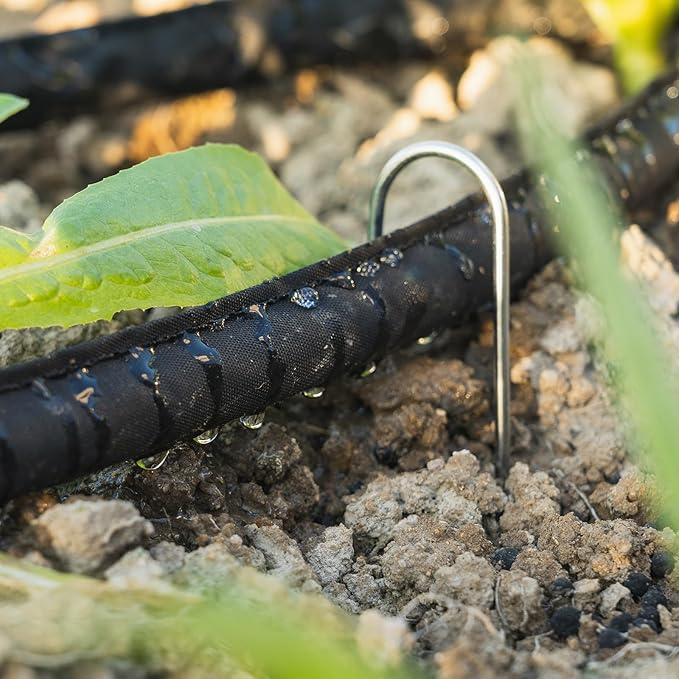 Flat Soaker Hose 150 ft, Drip Sprinkler Hoses with Stakes for Garden Beds, Lawns, and Orchards, Save 70% Water Leakproof Double Layer Design (75ft ×2P)