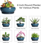 SQOWL Succulent Pots - 6 Inch Ceramic Bonsai Pots, Shallow Planter with Drainage Hole and Saucer, Modern Round Planter for Indoor Plants Outdoor, Flower Cactus Pot, Home Decor, Plant Lover Gift, Blue