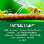 Natria Neem Oil Spray for Plants, Pest and Disease Control, 24-Ounce, Ready-to-Use, Pest Control Spray