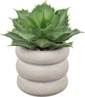 Hollyone Fake Plants Succulents Artificial Agave Succulent Plants Faux Aloe Potted Plant in White Glaze Ceramic Pot for Desk Modern Office Living Room Table Shelf Bathroom Home Indoor Outdoor Decor