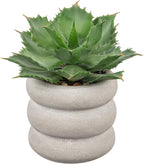 Hollyone Fake Plants Succulents Artificial Agave Succulent Plants Faux Aloe Potted Plant in White Glaze Ceramic Pot for Desk Modern Office Living Room Table Shelf Bathroom Home Indoor Outdoor Decor