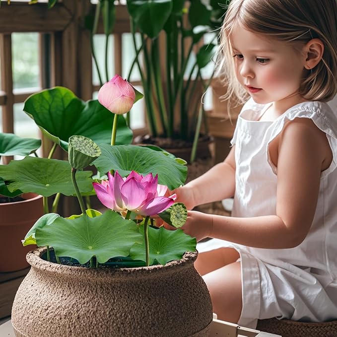 Doter Aquatic Soil for Plants - 2.2LBS, Clay Aquarium Soil Suitable for Small Ponds & Water Plants Like Lotus & Water Lily, Safe for Fish & Aquatic Life (Pack of 2)