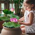 Doter Aquatic Soil for Plants - 2.2LBS, Clay Aquarium Soil Suitable for Small Ponds & Water Plants Like Lotus & Water Lily, Safe for Fish & Aquatic Life