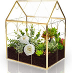 HighFree Geometric Plant Terrarium with Lid, House Succulent Terrarium Kit for Display, Air Plants, Succulents, Home Tabletop Miniature Terrarium, Not Airtight or Waterproof (Gold)