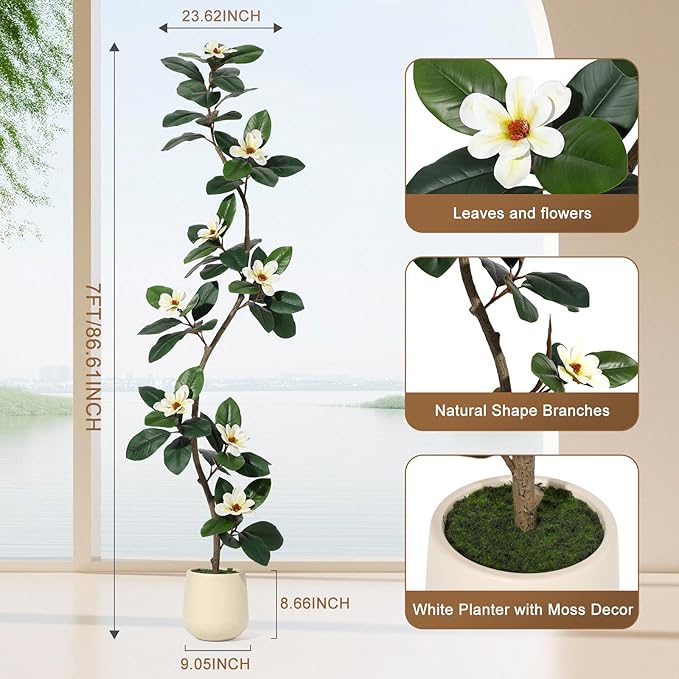 7ft Artificial Rubber Tree with 8 Pcs Magnolia Flowers,Tall Fake Tree with White Planter and Moss Decor,Faux Plants Indoor for Home Living Room Porch Decor