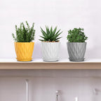 5 Inch Planter Pots, 6 Pack Indoor Planters, Small Flower Pots with Drainage Holes and Tray for Succulents, Orchids, Herbs and Other Indoor Plants (Orange+Grey+White, 5inch)