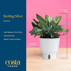 Costa Farms Sterling Silver Scindapsus Live Plant in Self Watering Pot, Indoor Houseplant, Perfect for Home, Room, or Office Decor, Great House Warming or Birthday Gift, 9-12 Inches Tall
