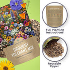Drought Tolerant Wildflowers Mix – Bulk 5 Pounds – Over 600,000 Open Pollinated Non-GMO Seeds – 21 Different Dryland Species