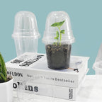 RooTrimmer Transparent Nursery Pots 3.5Inch with Humidity Domes for Seeds Starting, Clear Plastic Plant Pots with Drainage Holes (3.54Inch, 40Pcs,Clear Pots with Lids)