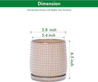 D'vine Dev 6 Inch Ceramic Beaded Stoneware Planter Pot - Flower Pot with Drainage Holes and Saucers for Indoor Succulent Plants or Flowers, Light Brown, 27-C-X-4