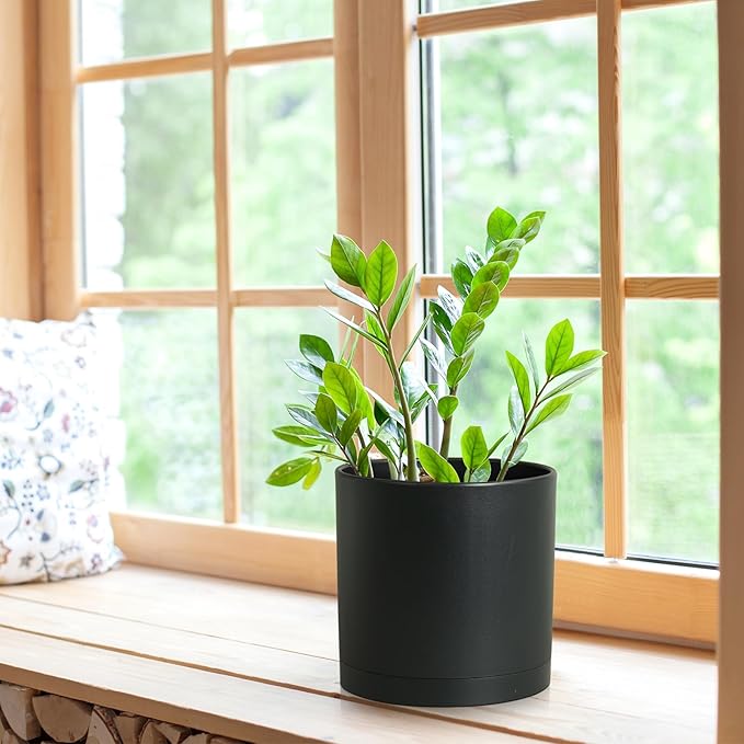 WSMKSZ 8 Inch Medium Plant Pots for Indoor Outdoor Plants, Cylinder Deep Flower Pots with Drainage Holes & Saucer, Decorative Plastic Planter Pots for Garden House Plants, Black