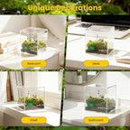 DIY Moss Terrarium Kit, 4 * 4 * 4 inch Acrylic Cube Mini Garden with Live Star Moss, Soil, Halloween Party-Craft Kit for Adults and Teens, Relaxing Desk Decor & Unique Gift for Home or Office