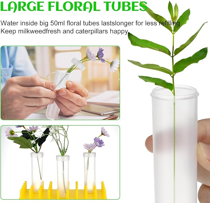 Beeveer 2 Short Peg Rack with 16 Large Floral Tubes Floral Water Tubes for Feeding Fresh Milkweed Cuttings Host Plants Nectar Flowers Habitat Supplies